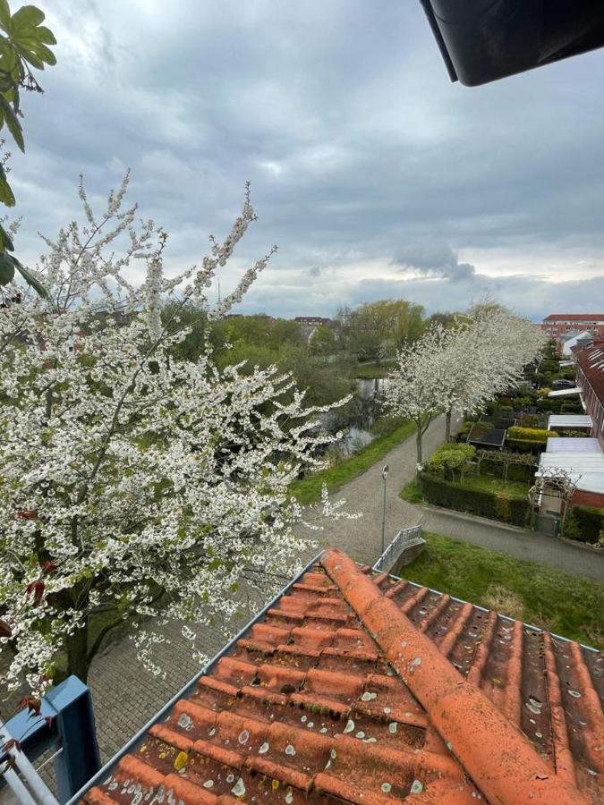 بريمين Grosszugige Wohnung In Findorff المظهر الخارجي الصورة